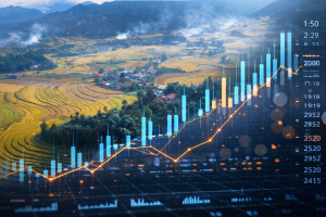 VN_Provincial_Indexes